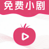 紫光影视TV内置源版下载